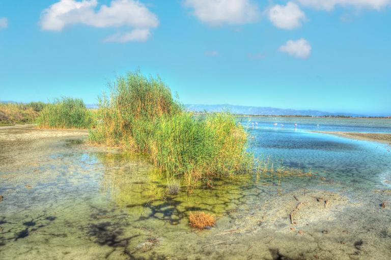 Zen Beach Home Quartu SantʼElena Zewnętrze zdjęcie